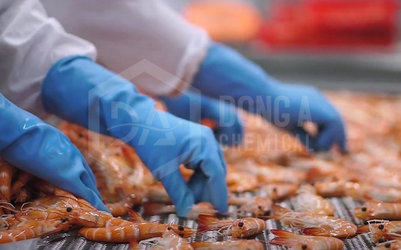 Vụ tôm 2026 đầy kỳ vọng nhưng cũng không ít thách thức